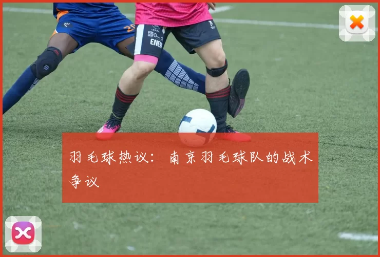 羽毛球热议：南京羽毛球队的战术争议