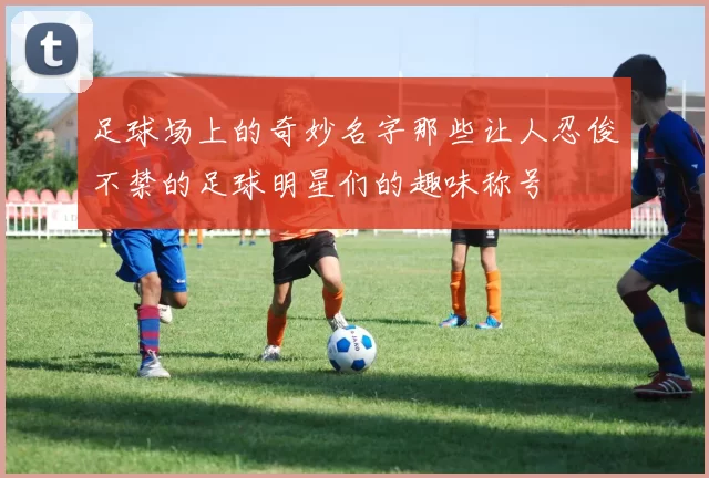 足球场上的奇妙名字那些让人忍俊不禁的足球明星们的趣味称号